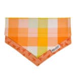 Creamsicle Dog Bandana