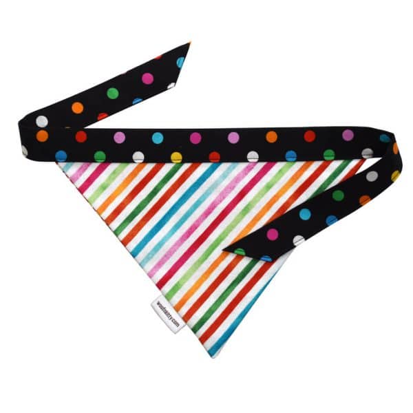 Azalea Reversible Dog Bandana