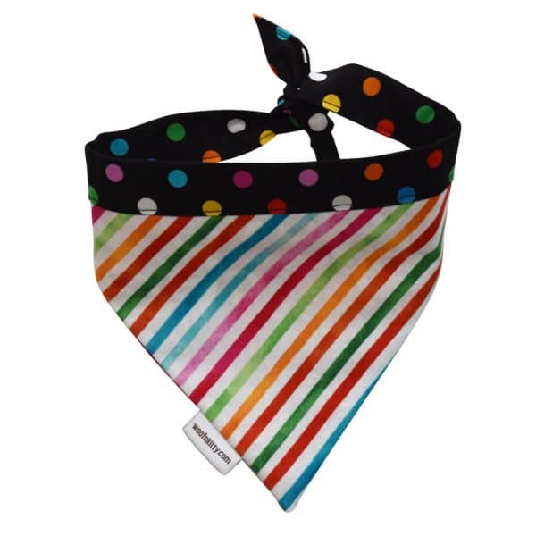 Azalea Reversible Dog Bandana