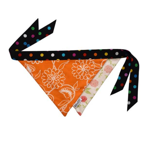 Buttercup Reversible Dog Bandana