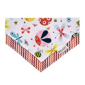 Buzzy Fun Dog Bandana