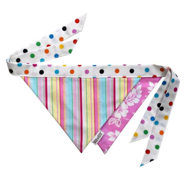 Cotton Candy Reversible Dog Bandana