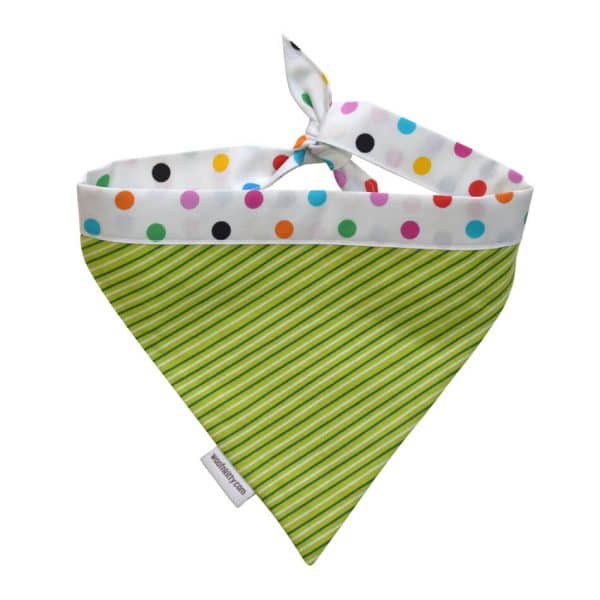 Green Meadow Reversible Dog Bandana