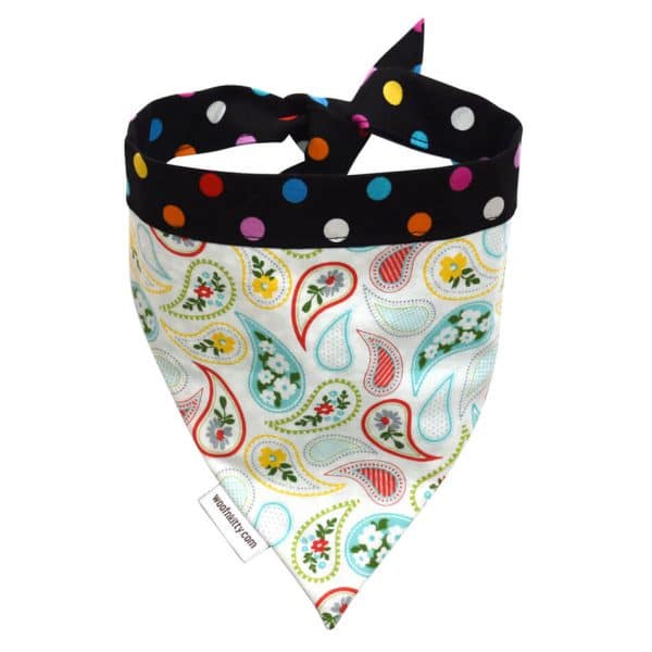 Pretty Paisley Reversible Dog Bandana