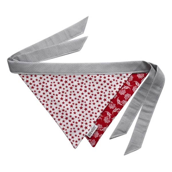 Star Bright Reversible Dog Bandana