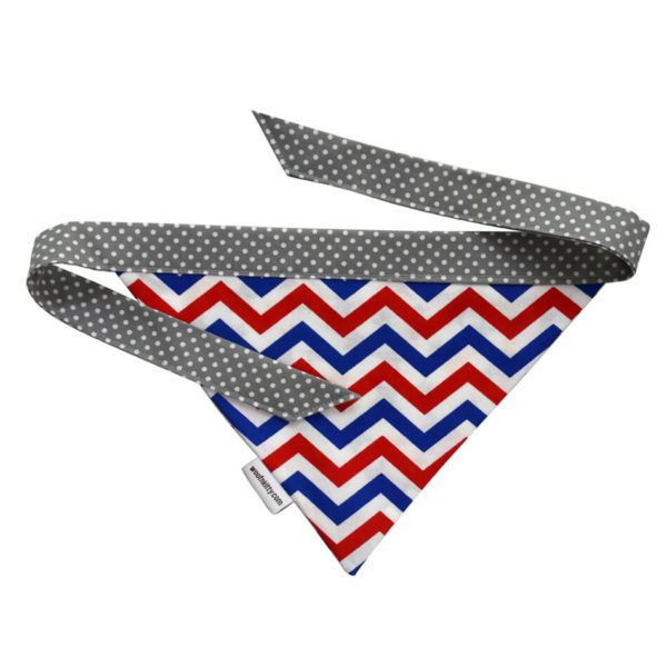 Jubilee Reversible Dog Bandana