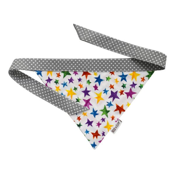 Jubilee Reversible Dog Bandana