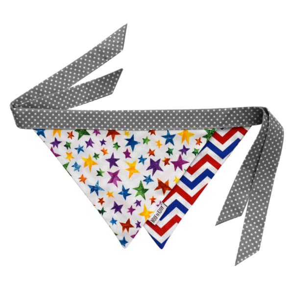 Jubilee Reversible Dog Bandana