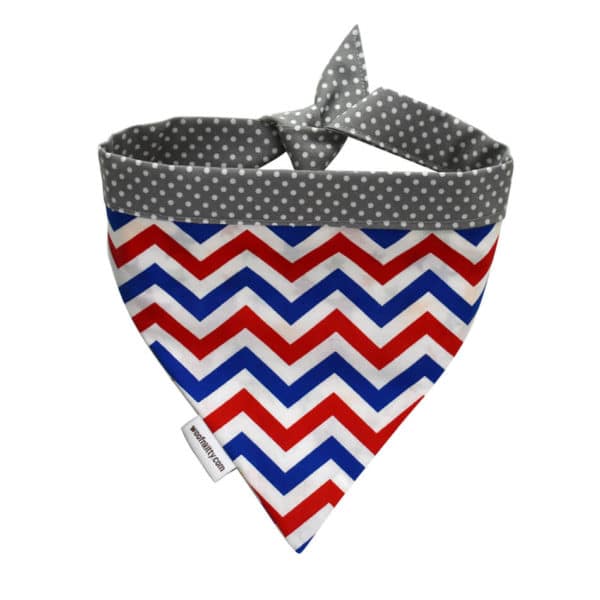 Jubilee Reversible Dog Bandana