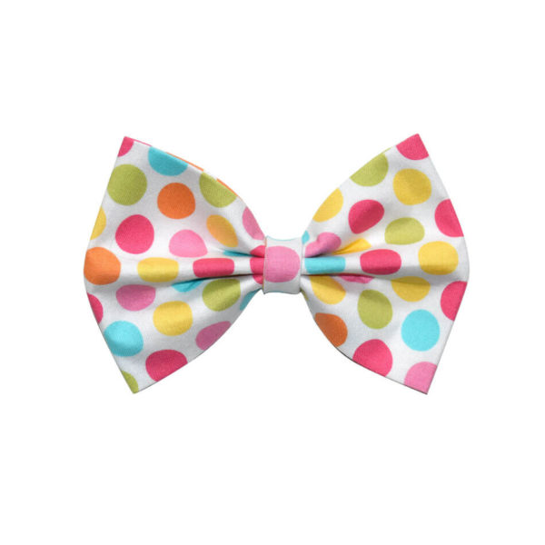 Rainbow Dots Bow Tie 1